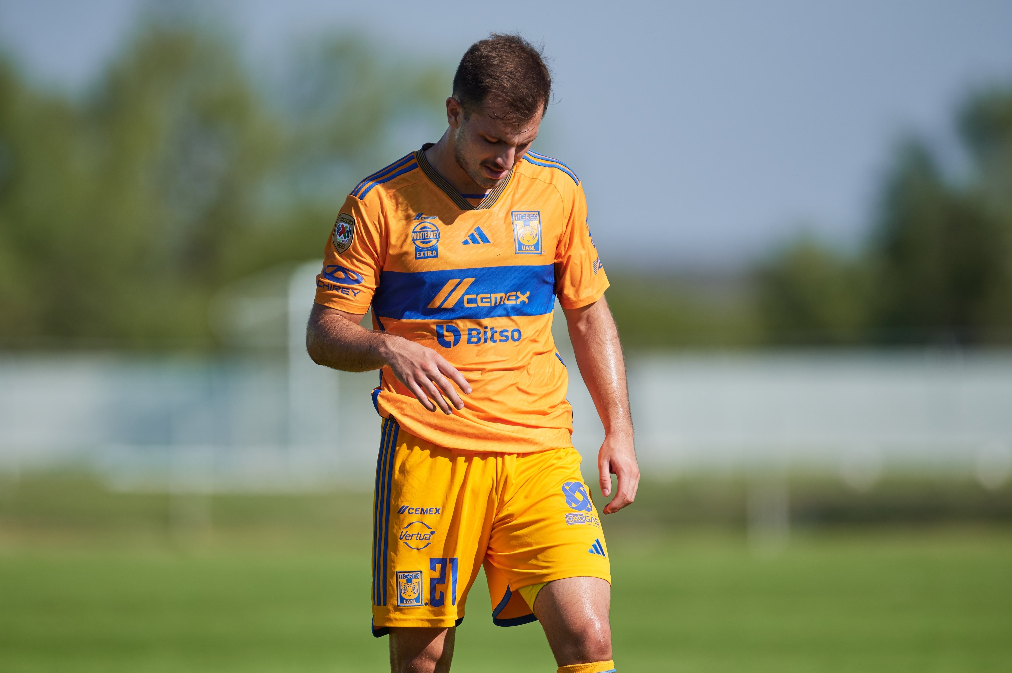 Eugenio Pizzutto, jugador de Tigres.