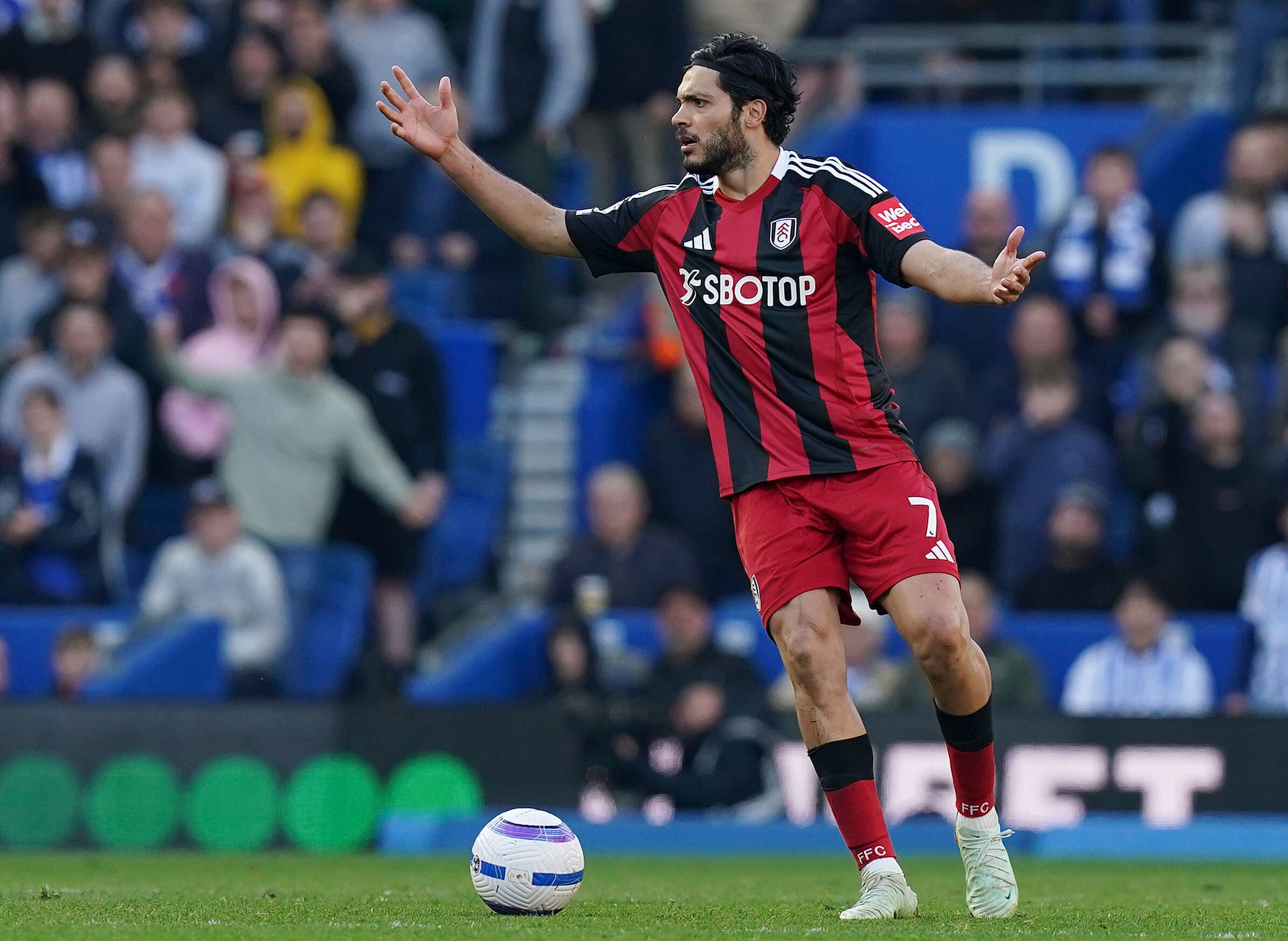 Raúl Jimenez en el Tottenham vs Fulham de la Premier League.