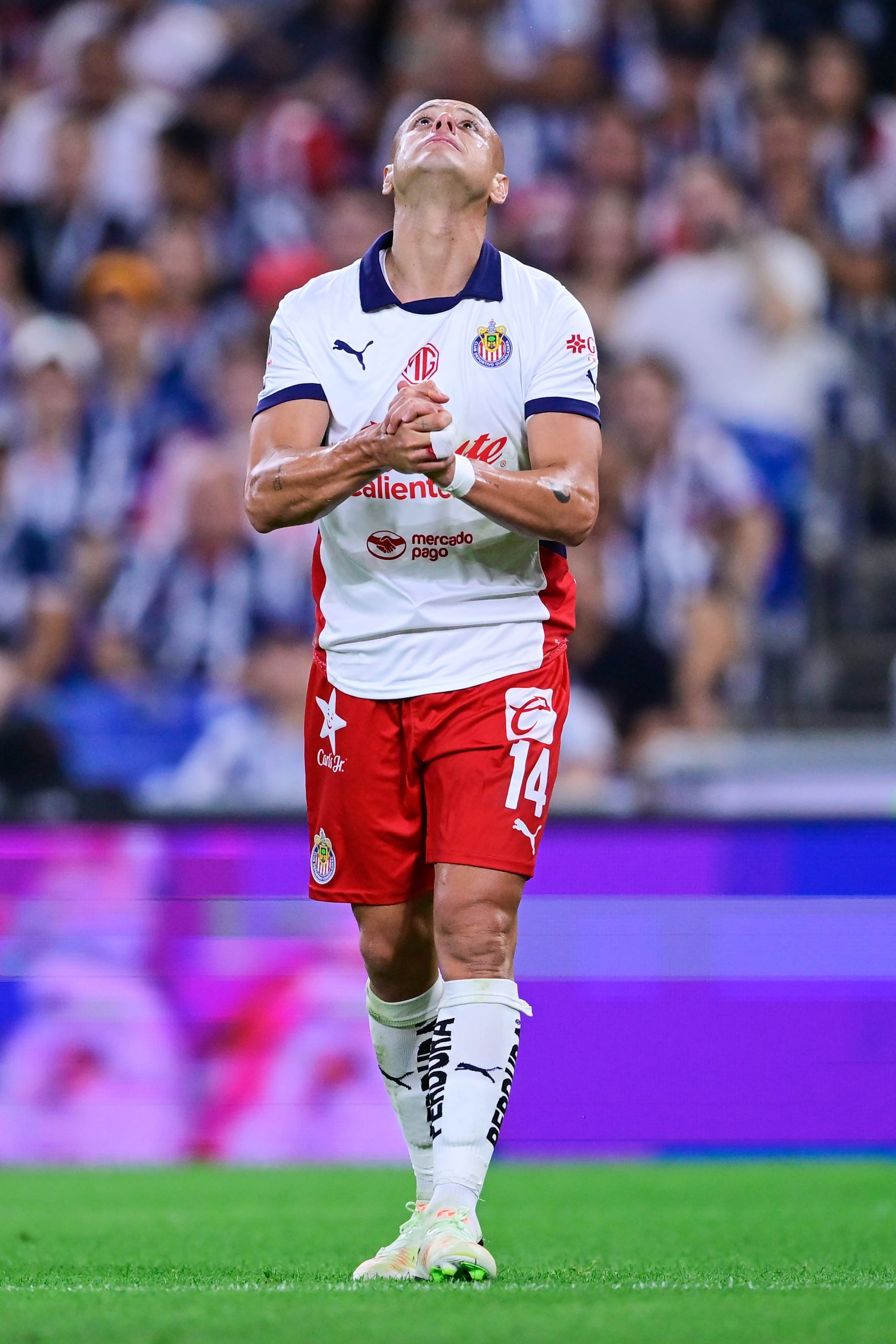Javier Hernánez