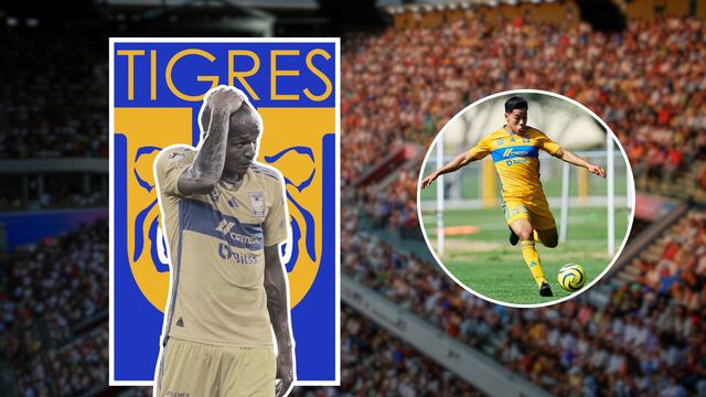 Luis Quiñones es acusado de fracturarle la nariz a un juvenil del Club Tigres.