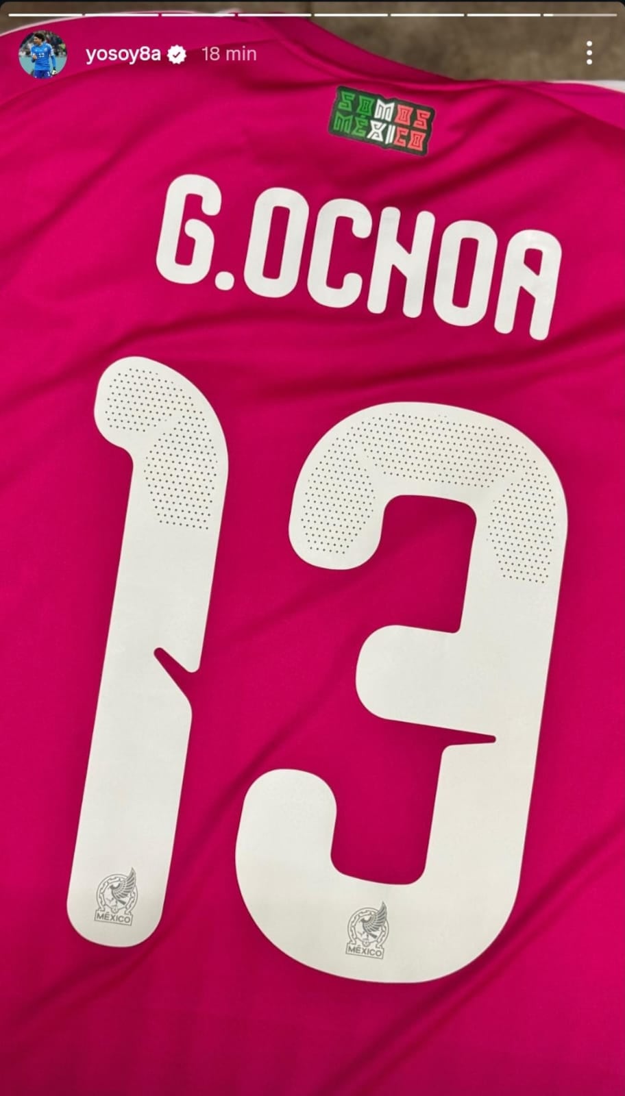 La nueva prueba de que Memo Ochoa estará en el Mundial 2026