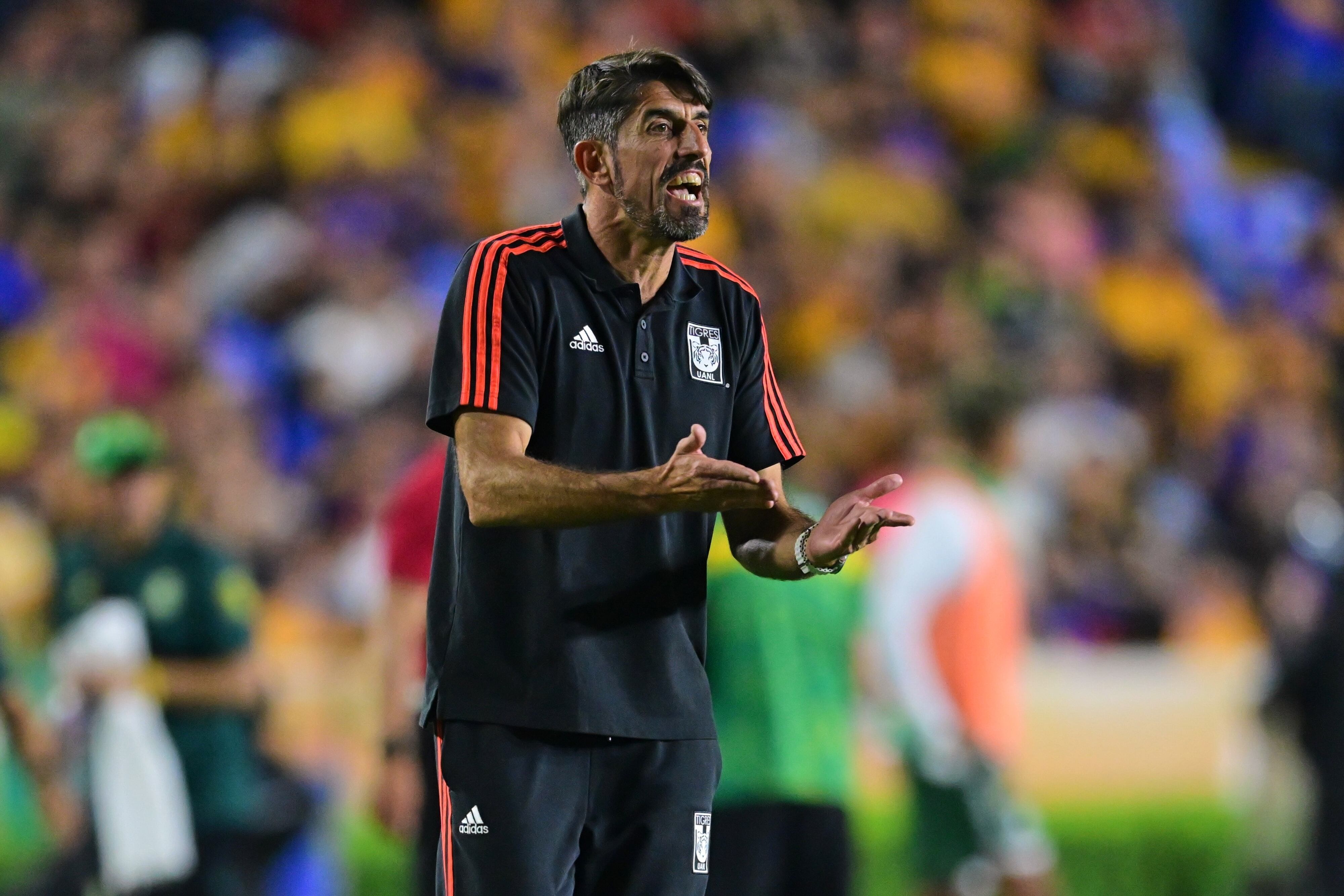 Veljko Paunovic, director técnico de Tigres.