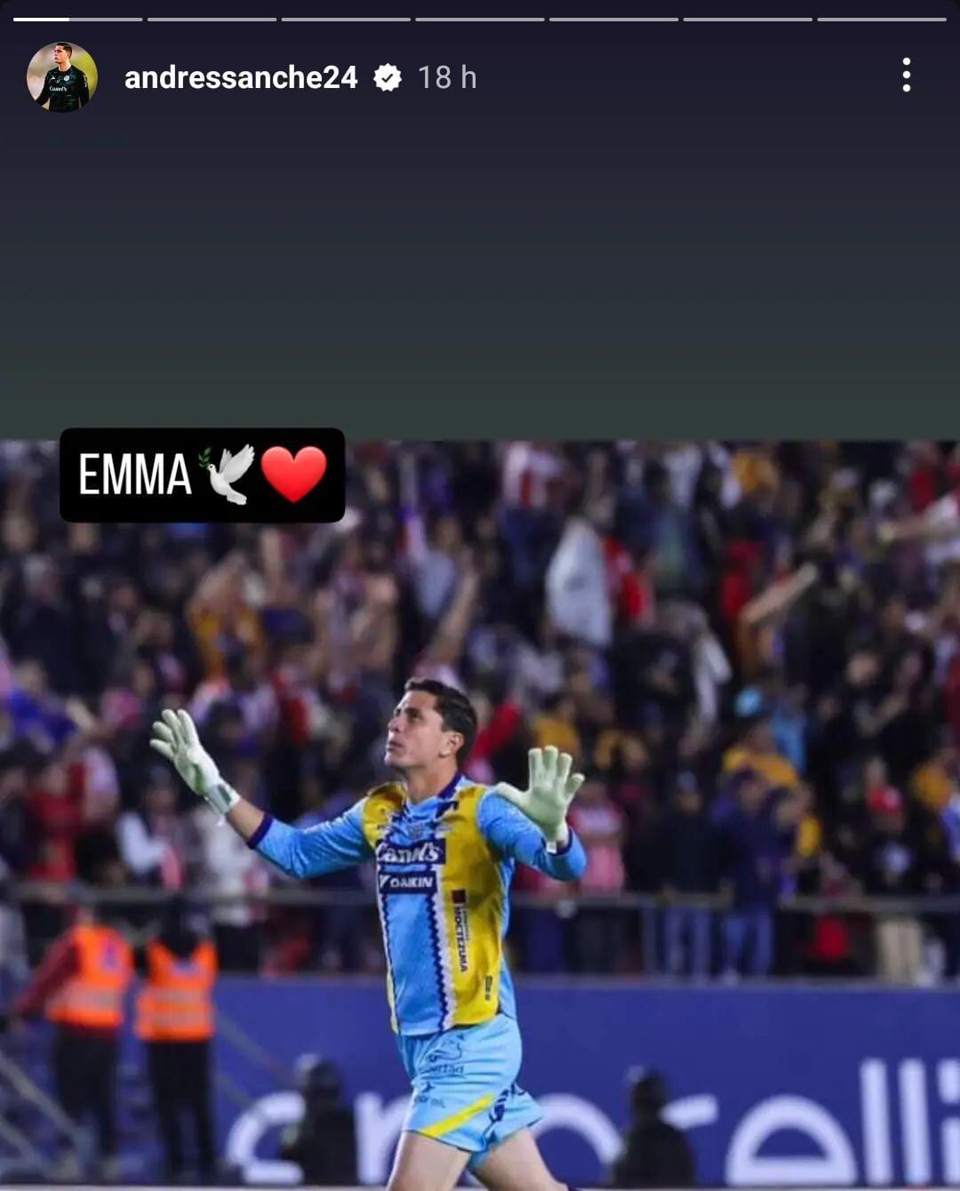 Historia de Andrés Sánchez