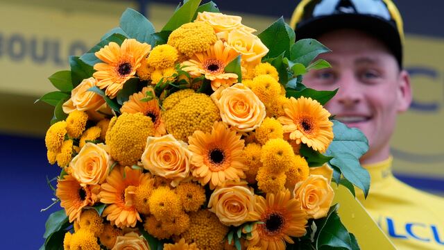 Mathieu van der Poel