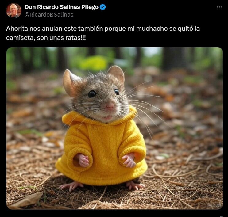 Salinas Pliego explota contra el arbitraje