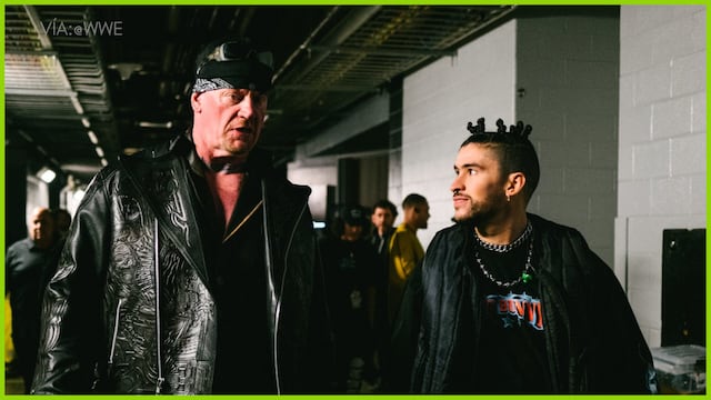 Las celebridades dividen a los aficionados, pero sus apariciones han generado algunos de los mayores números sociales de WWE.
