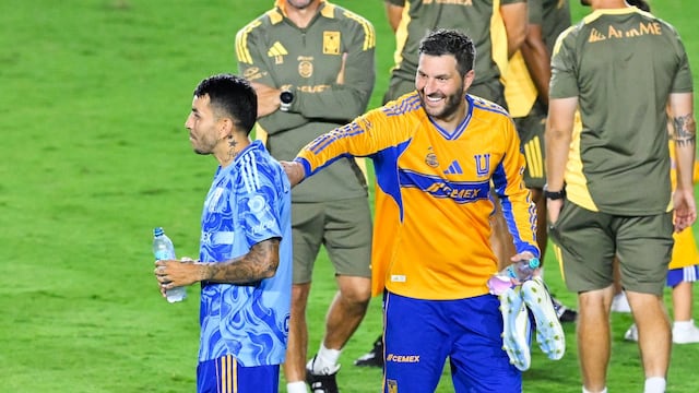 Entrenamiento de Tigres.