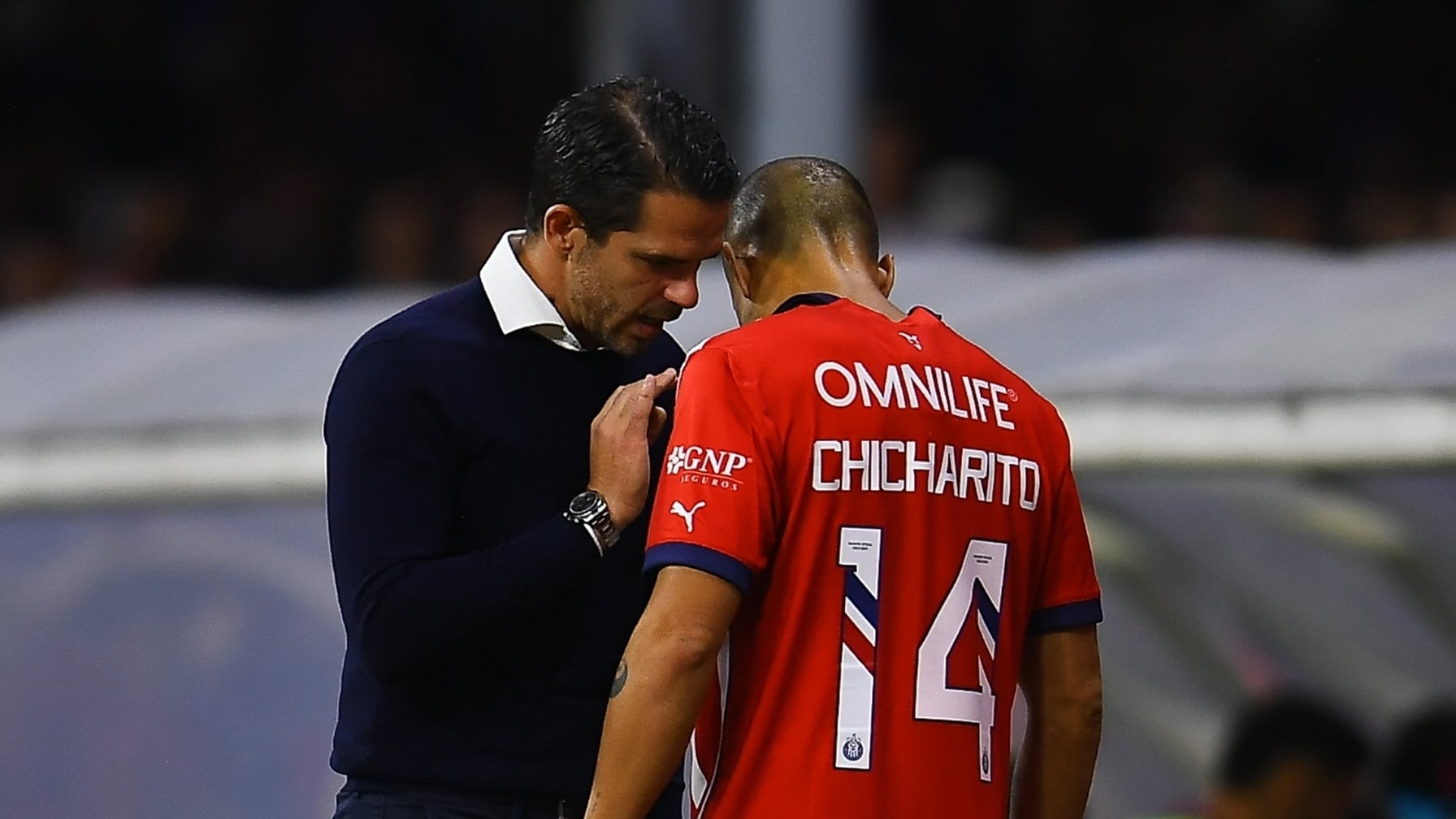 Fernando Gago y Chicharito Hernández