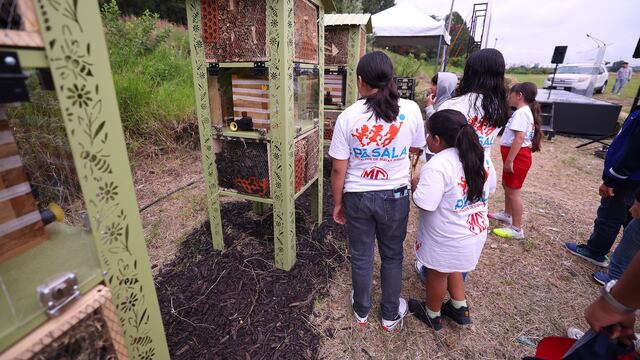 ¡Colmenas en Estadio Akron! Inauguran zona de colmenas en la casa de las Chivas.